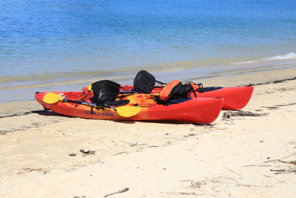 Sit-on-Top Kayak Essentials: A Beginner's Guide to Enjoyable Paddling