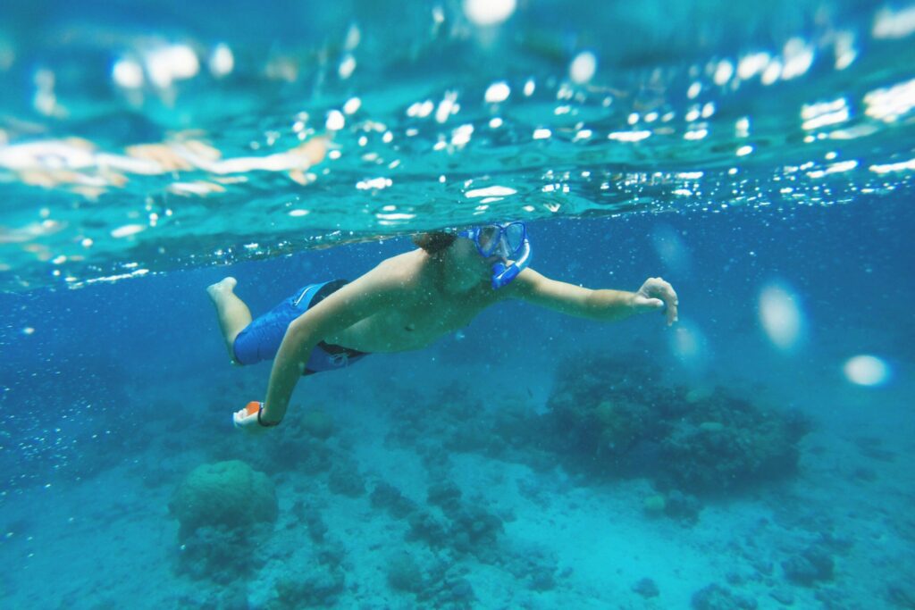 Snorkeling Tours Uncovered: Top Spots and Insider Tips for a Memorable ...