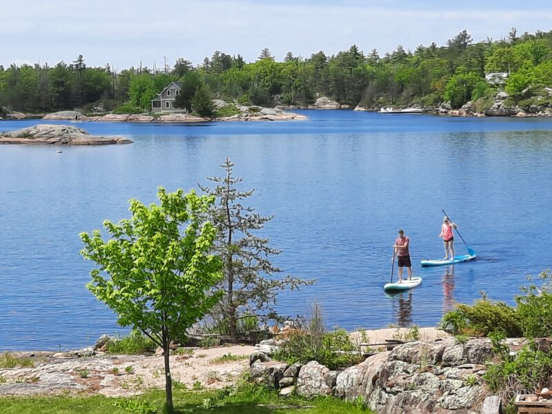 Quiet Wilderness Paradise, Clean Swimming for 2 Families on Cognashene Lake