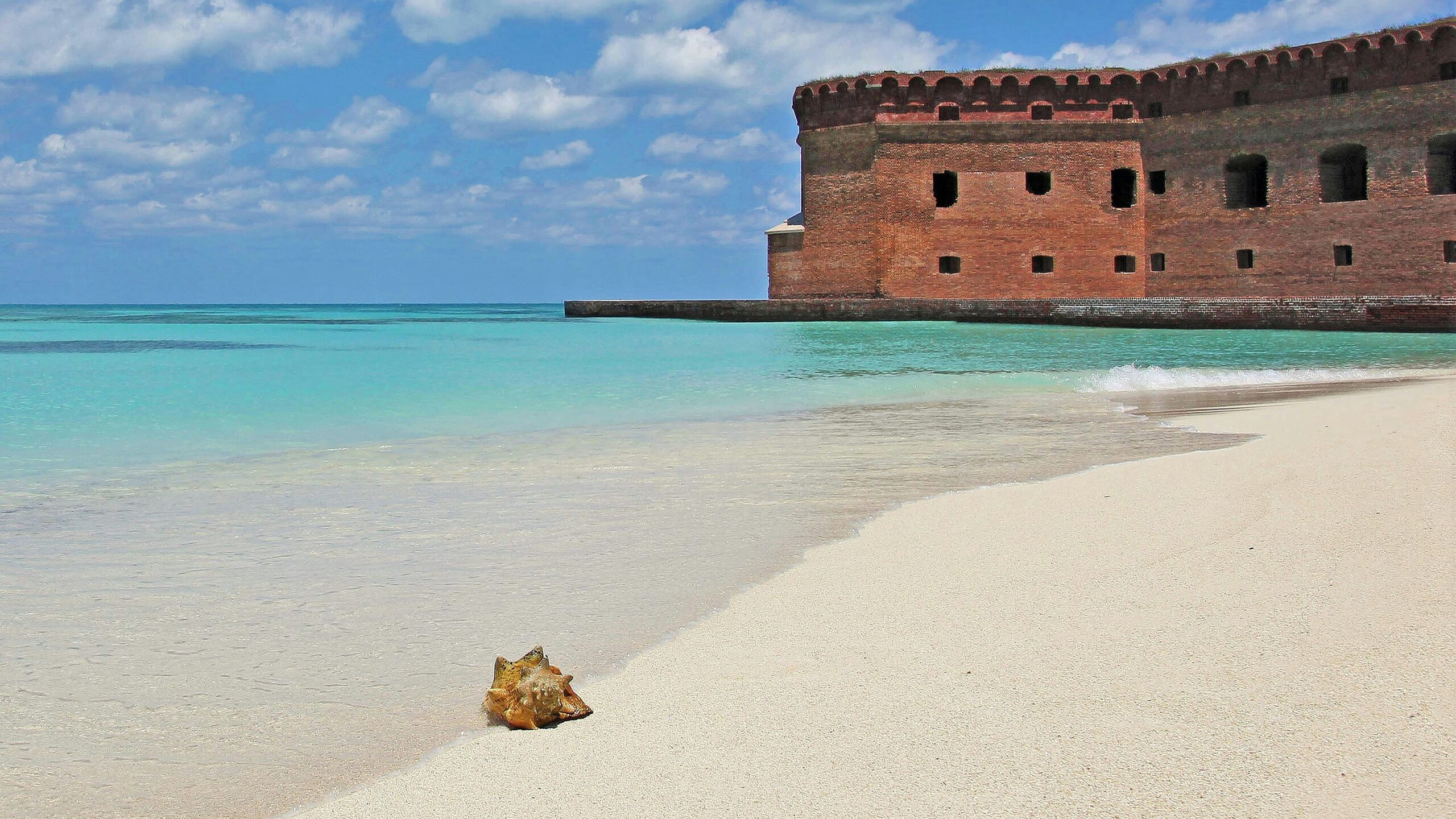dry tortugas national park3 scaled